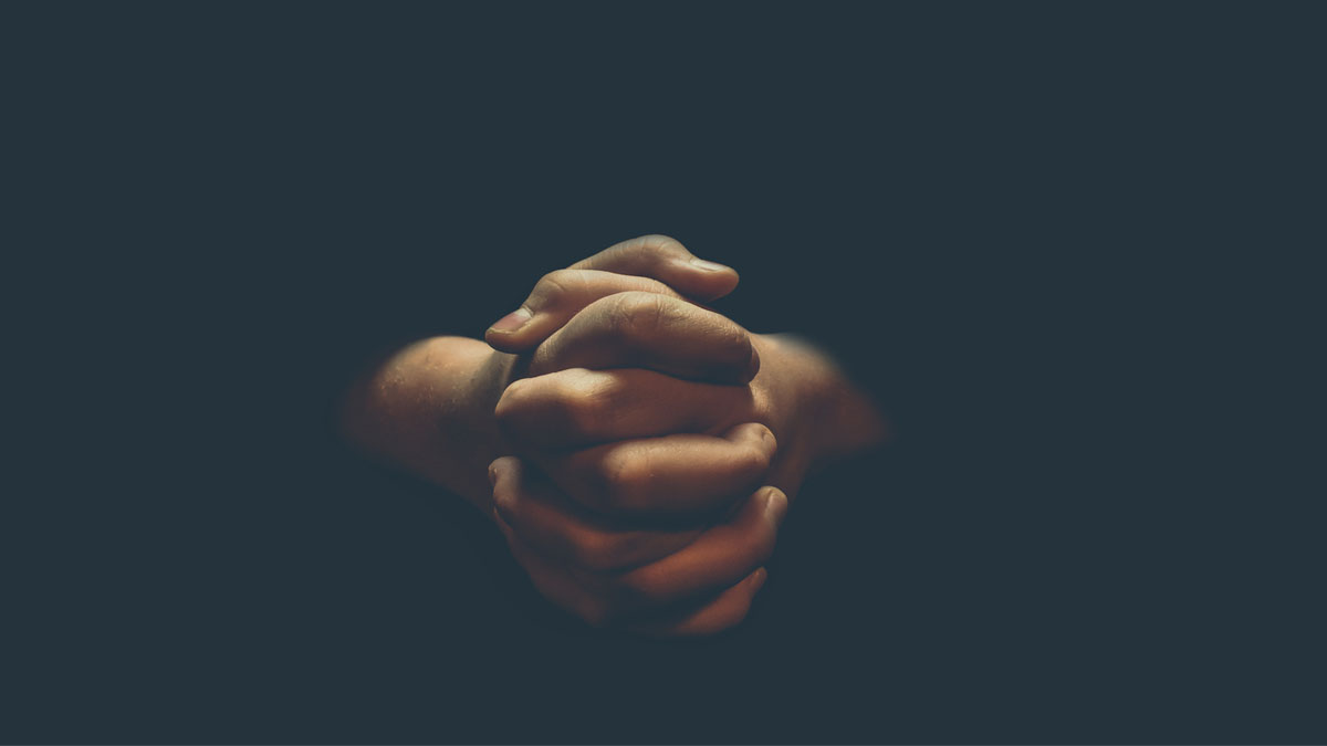 Sitting with Sunny: When God Searches the Heart